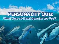 Personality Quiz: What Type of Cloud Spender Are You?